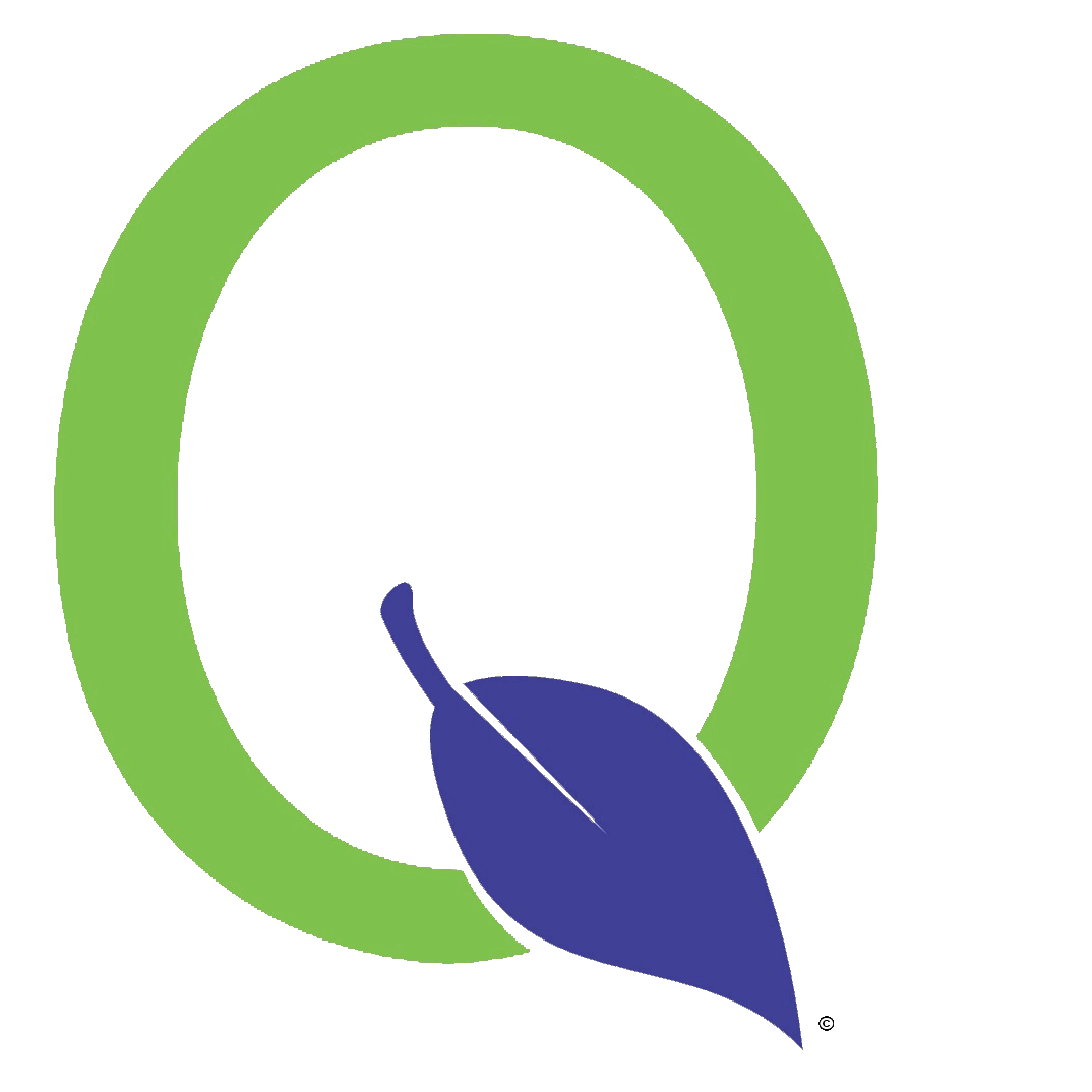 Q Logo